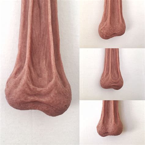 foreskin costume|binding testicles human.